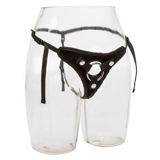 CALIFORNIA EXOTICS - IHR KÖNIGLICHES GESCHIRR DER PRINZESSIN IN EINER GRÖSSE