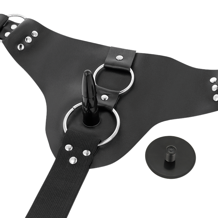 HARNESS ATTRACTION - RNES TAYLOR DELUXE 18 X 4,5 CM
