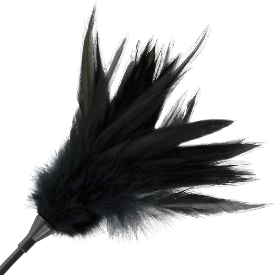 DARKNESS - SCHWARZE FEDERPEITHE