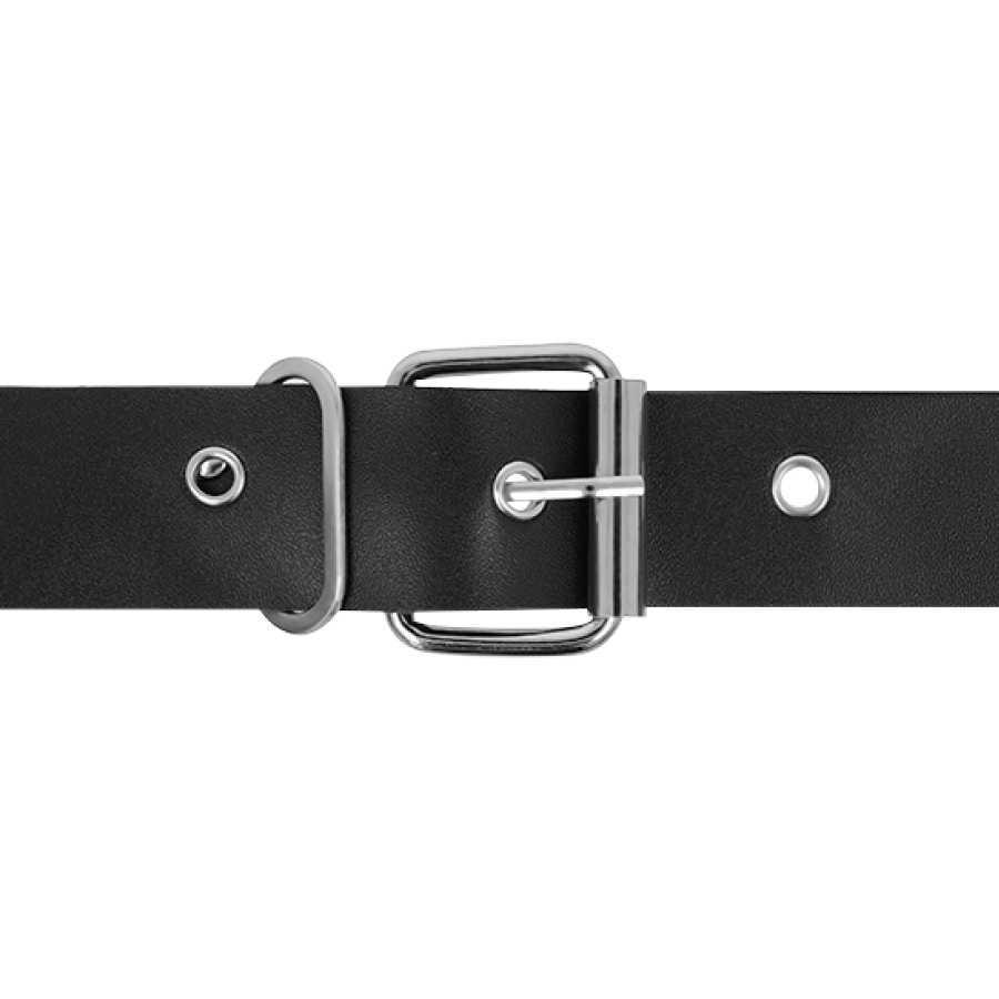 HARNESS ATTRACTION - RNES TAYLOR DELUXE 18 X 4,5 CM